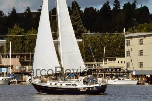 Valiant 37 ficha técnica y opiniones